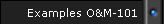 Examples O&M-101